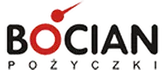 Logo Bocian Pożyczki